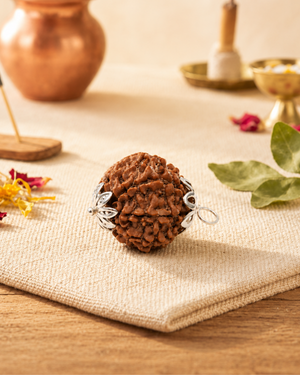 7-Mukhi Nepali Rudraksh (7 मुखी नेपाली रुद्राक्ष)