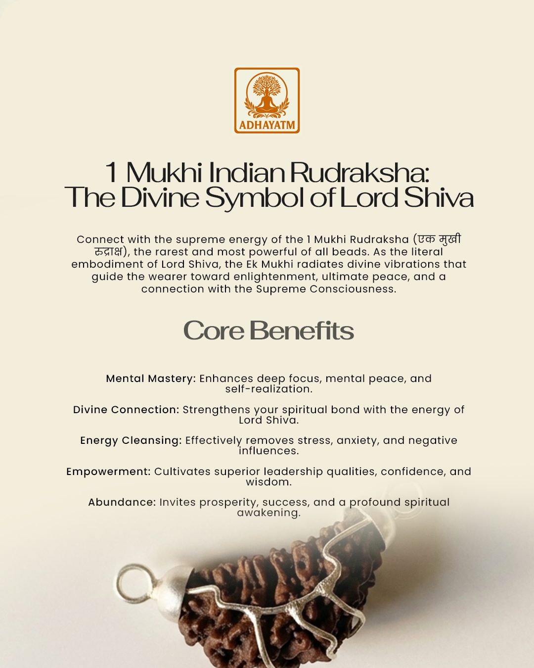 1 Mukhi Indian Rudraksh (1 मुखी भारतीय रुद्राक्ष)