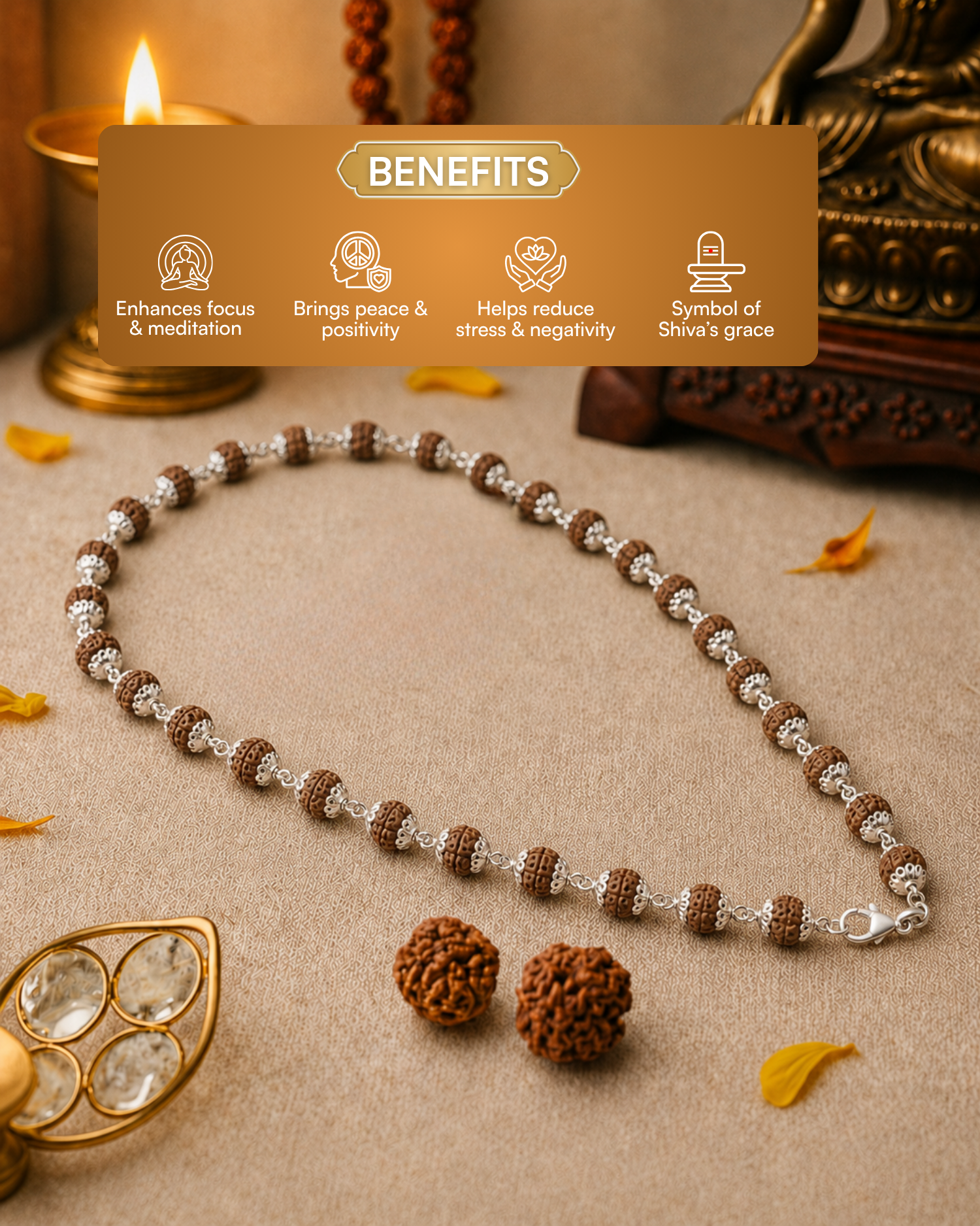 Silver Plated Elegant Rudraksh Mala