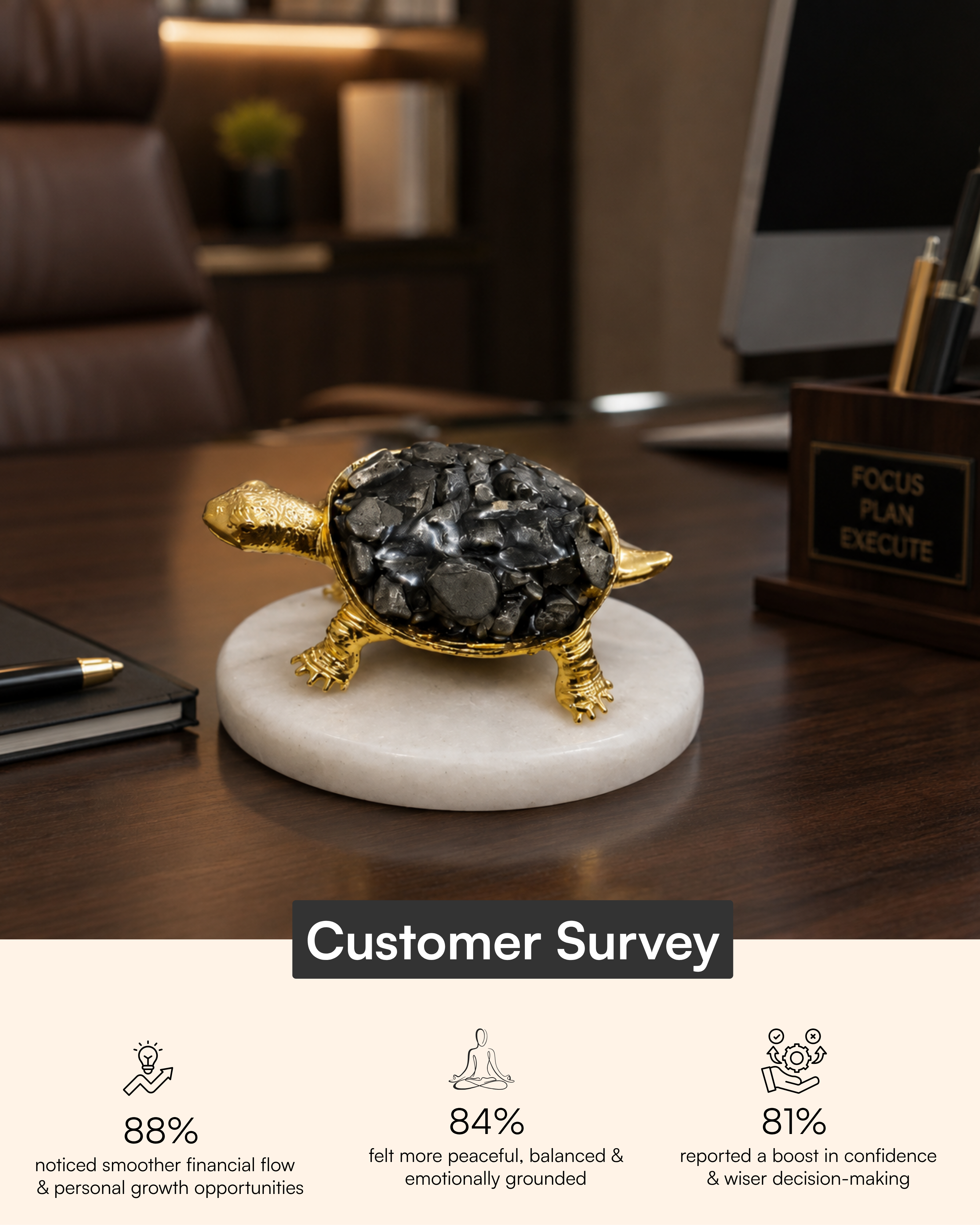 Abundance Energy Pyrite Turtle