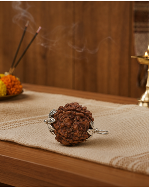 5-Mukhi Nepali Rudraksh (5 मुखी नेपाली रुद्राक्ष)