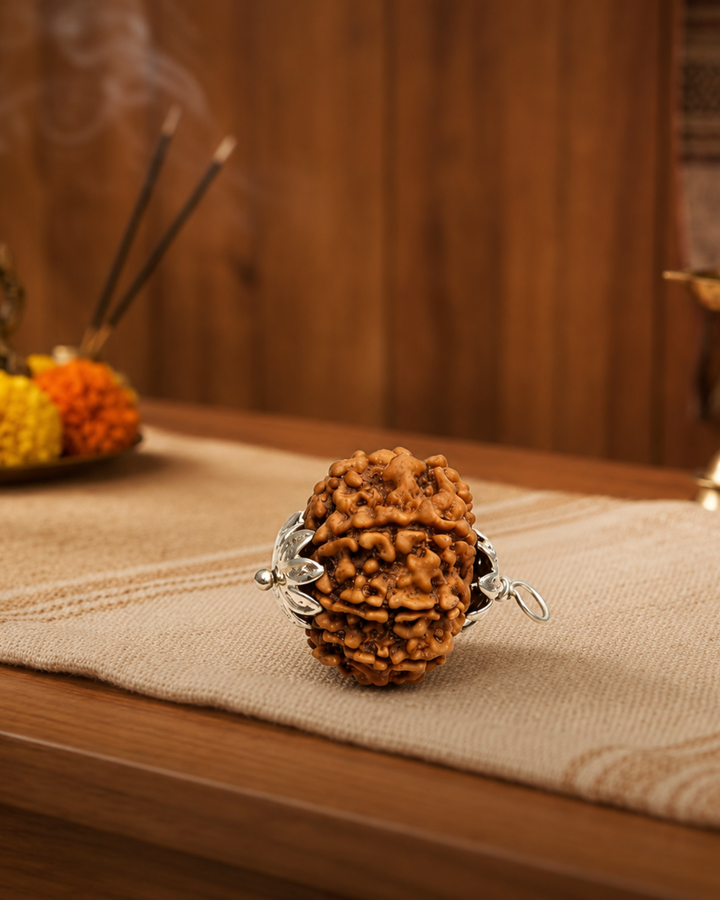 8-Mukhi Nepali Rudraksh (8 मुखी नेपाली रुद्राक्ष)