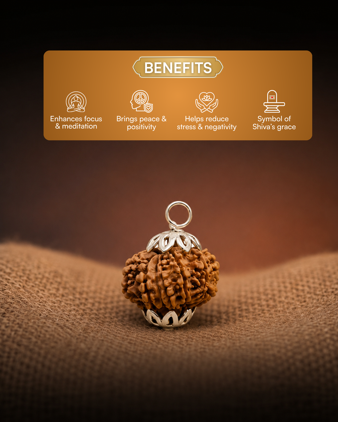 12 Mukhi Nepali Rudraksh (12 मुखी नेपाली रुद्राक्ष)