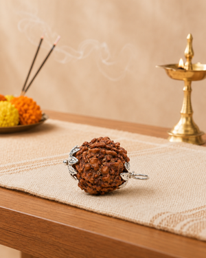 5-Mukhi Nepali Rudraksh (5 मुखी नेपाली रुद्राक्ष)