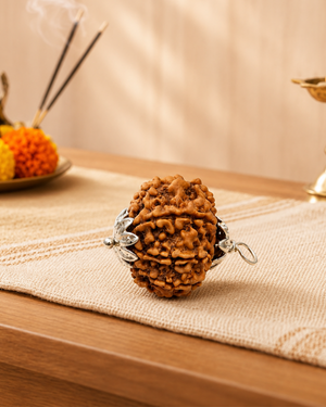 8-Mukhi Nepali Rudraksh (8 मुखी नेपाली रुद्राक्ष)