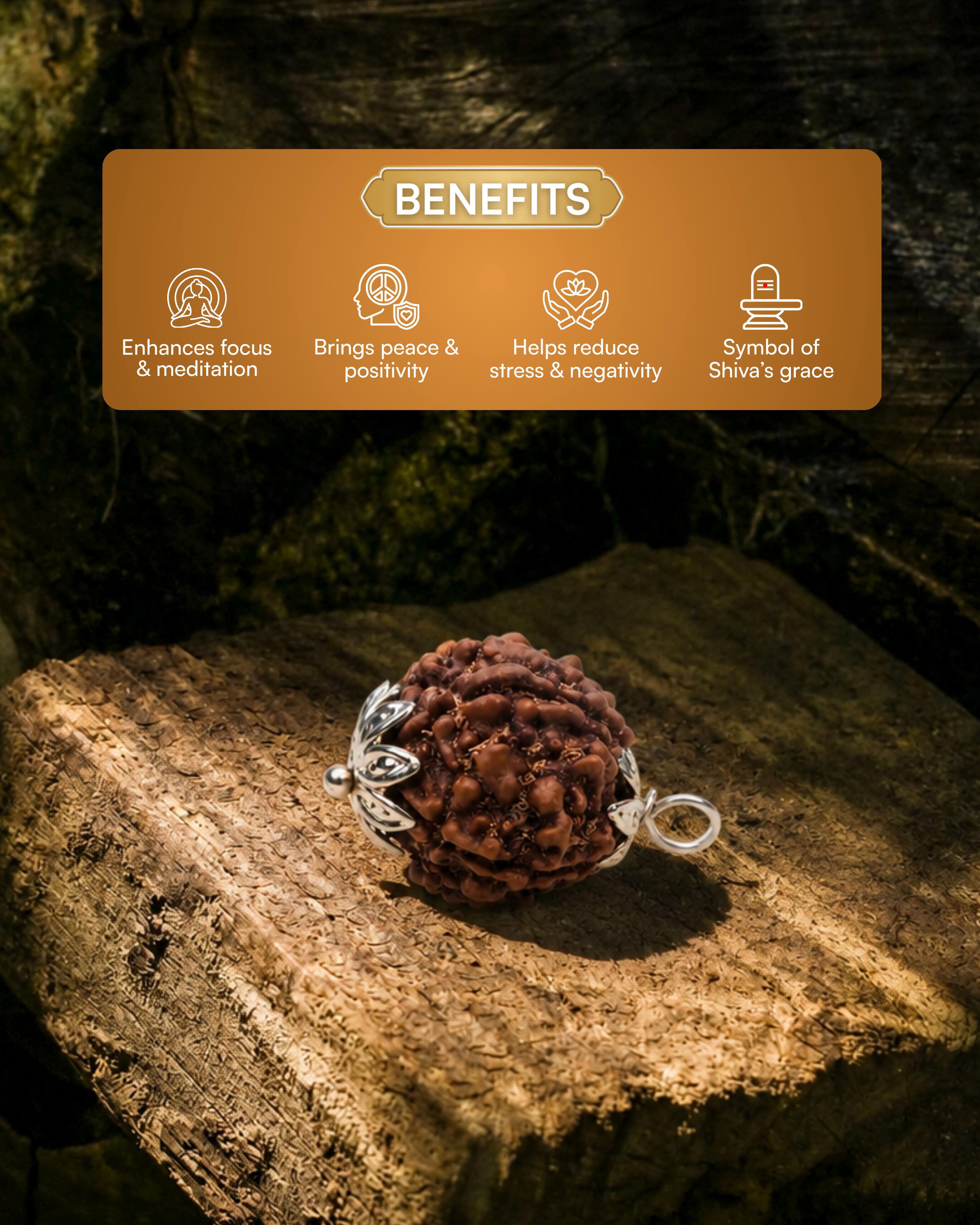 5-Mukhi Nepali Rudraksh (5 मुखी नेपाली रुद्राक्ष)
