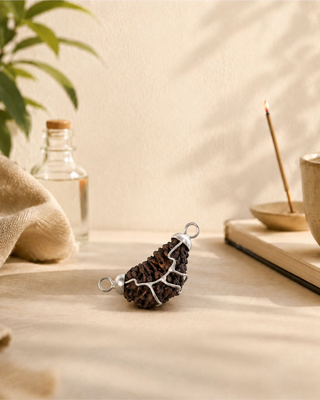 1 Mukhi Rameswaram (Indian) Rudraksh  (1 मुखी रामेश्वरम (भारतीय) रुद्राक्ष)